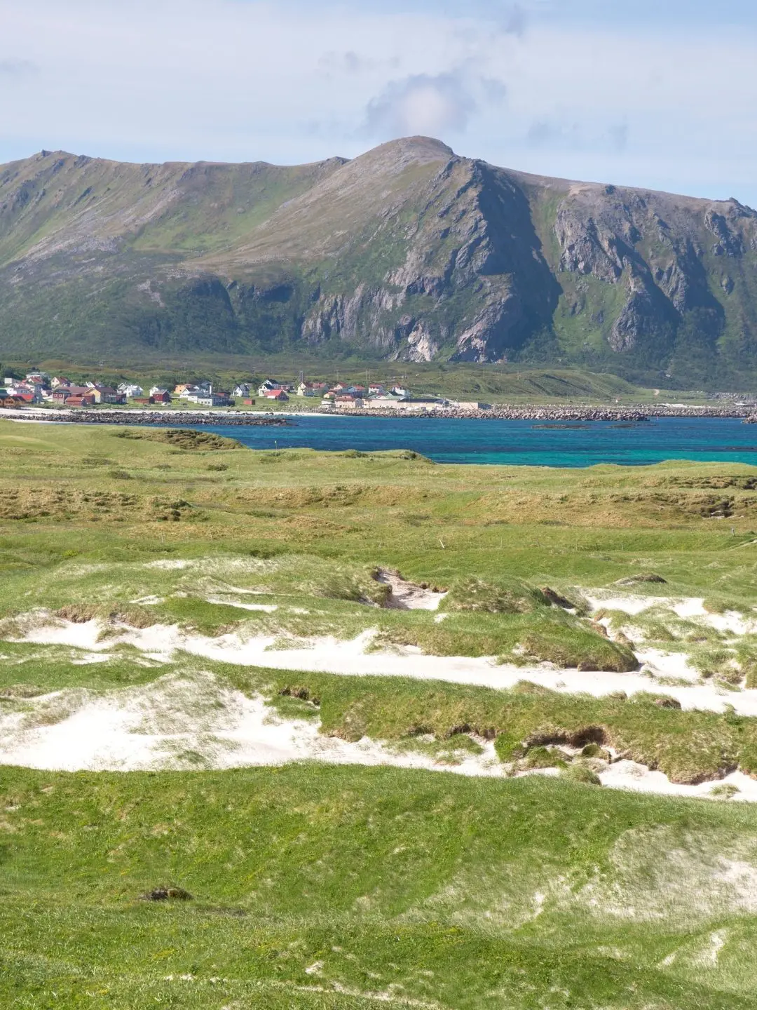 Andenes whale watching